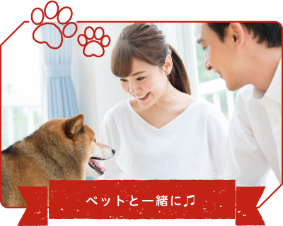 ペットと一緒に♫